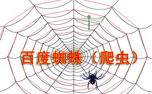 網站優化：在數字浪潮中破浪前行